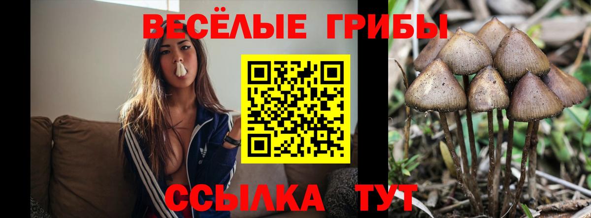 Орск  Галлюциногенные грибы GOLDEN TEACHER  Галлюциногенные грибы прущие грибы  Вход с VPN 